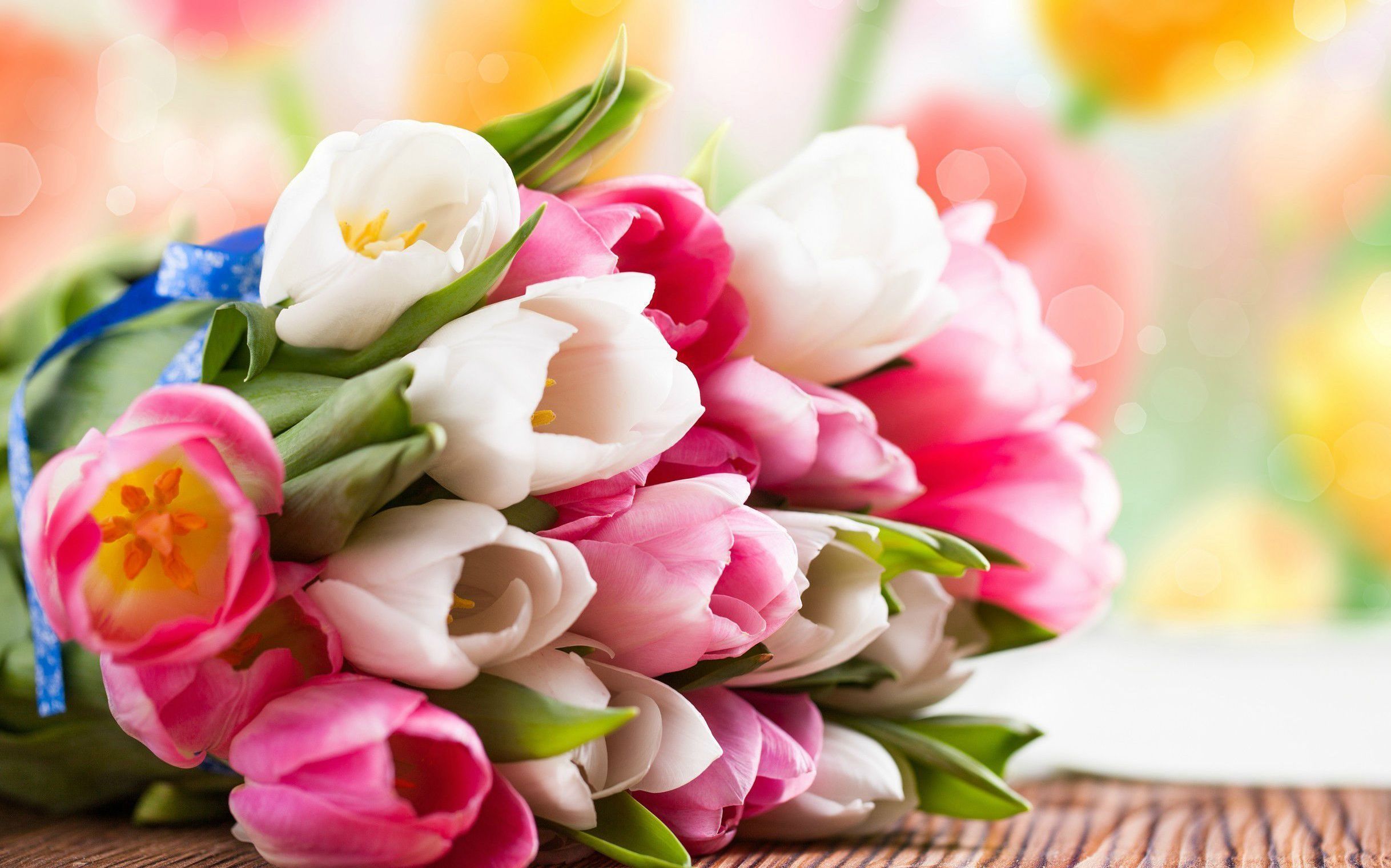 С Международным женским днём! С Международным женским днём!